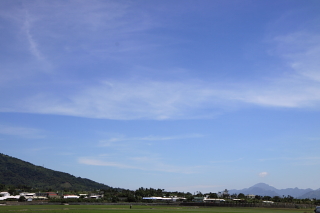 rice0030.JPG