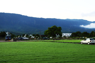 rice0006.JPG