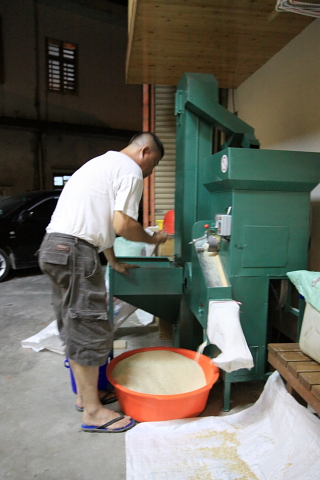 rice0036.JPG